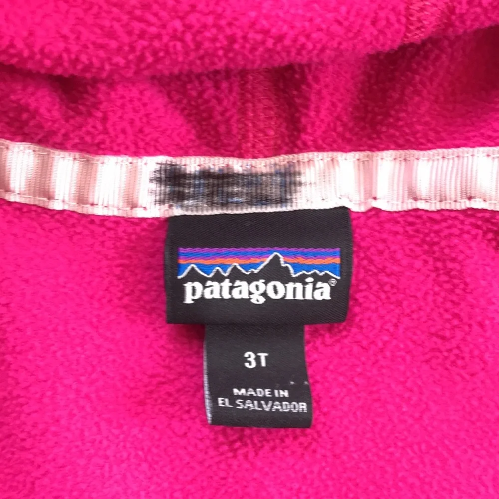 Patagonia Fleece Jacket (size 3T)
